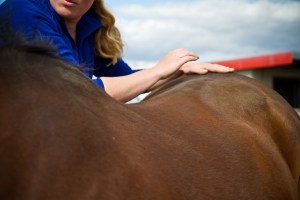 bpp_equinework_190412-207