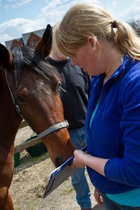 bpp_equinework_190412-579